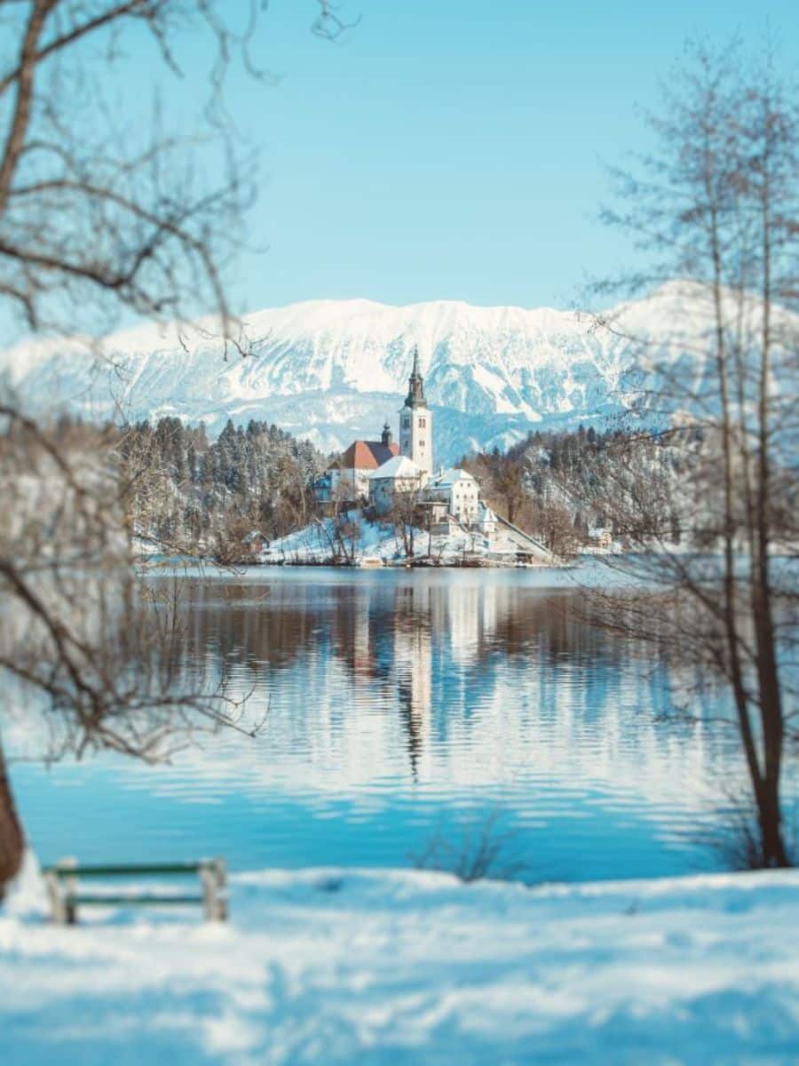 A picturesque winter vista showcasing the tranquil waters of Lake Bled reflecting the historic church on the islet, with snow-dusted trees and the distant Julian Alps under a clear blue sky.