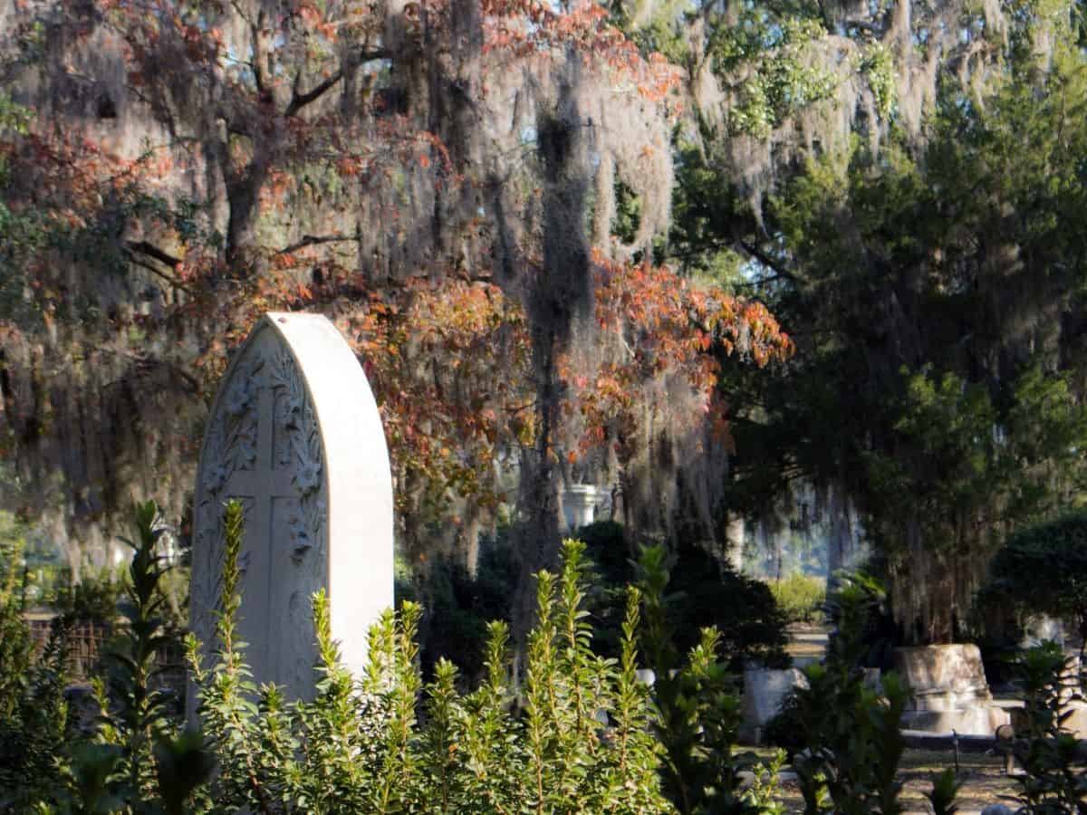 A headstone I saw on a ghost tour in Savannah, GA.