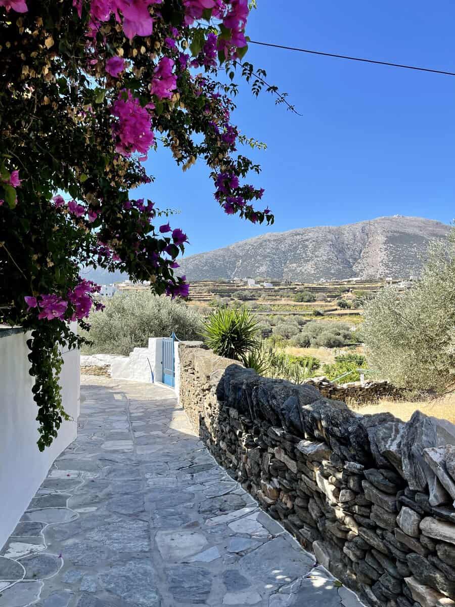 Best Guide to Sifnos Greece