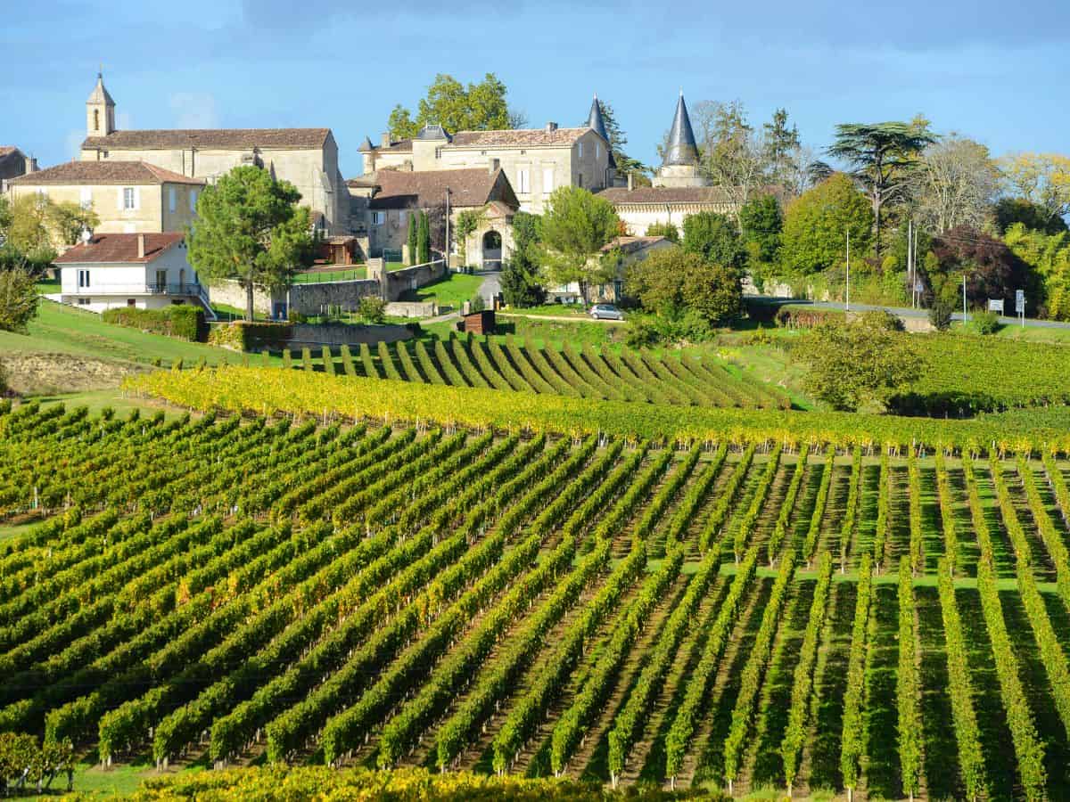 Lush green vineyard rows in the foreground with the picturesque village of Saint-Emilion in the background, showcasing the scenic beauty that visitors can experience on the best Saint-Emilion wine tours.