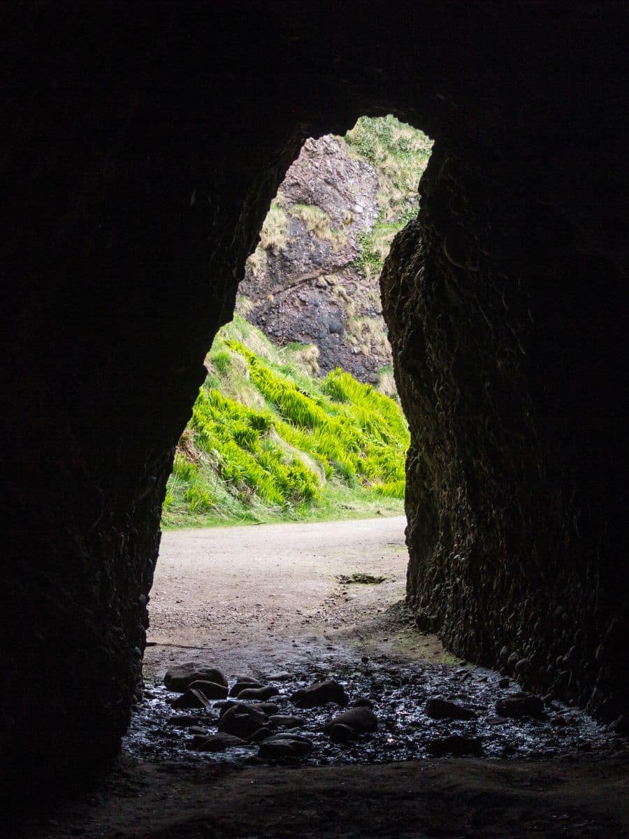 View from within the darkened interior of the Cushendun Caves, looking out towards the light with vibrant green vegetation framing the cave's mouth.