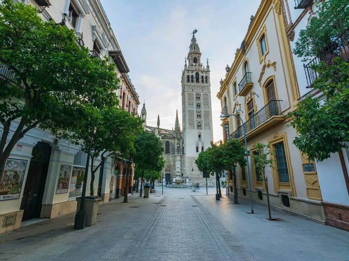 A peaceful morning on the streets of Seville, with the Giralda Tower standing tall in the background amidst historic buildings lined with lush trees.