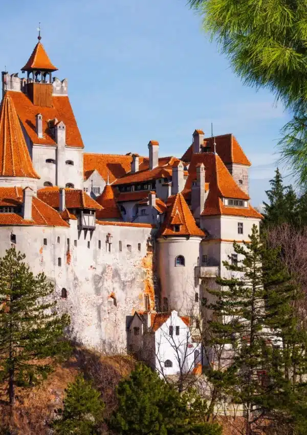 Best Bucharest to Bran Castle Tour to Take in 2023