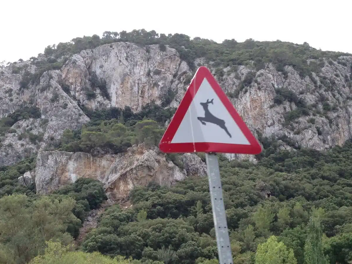 Road signs when driving in Mallorca