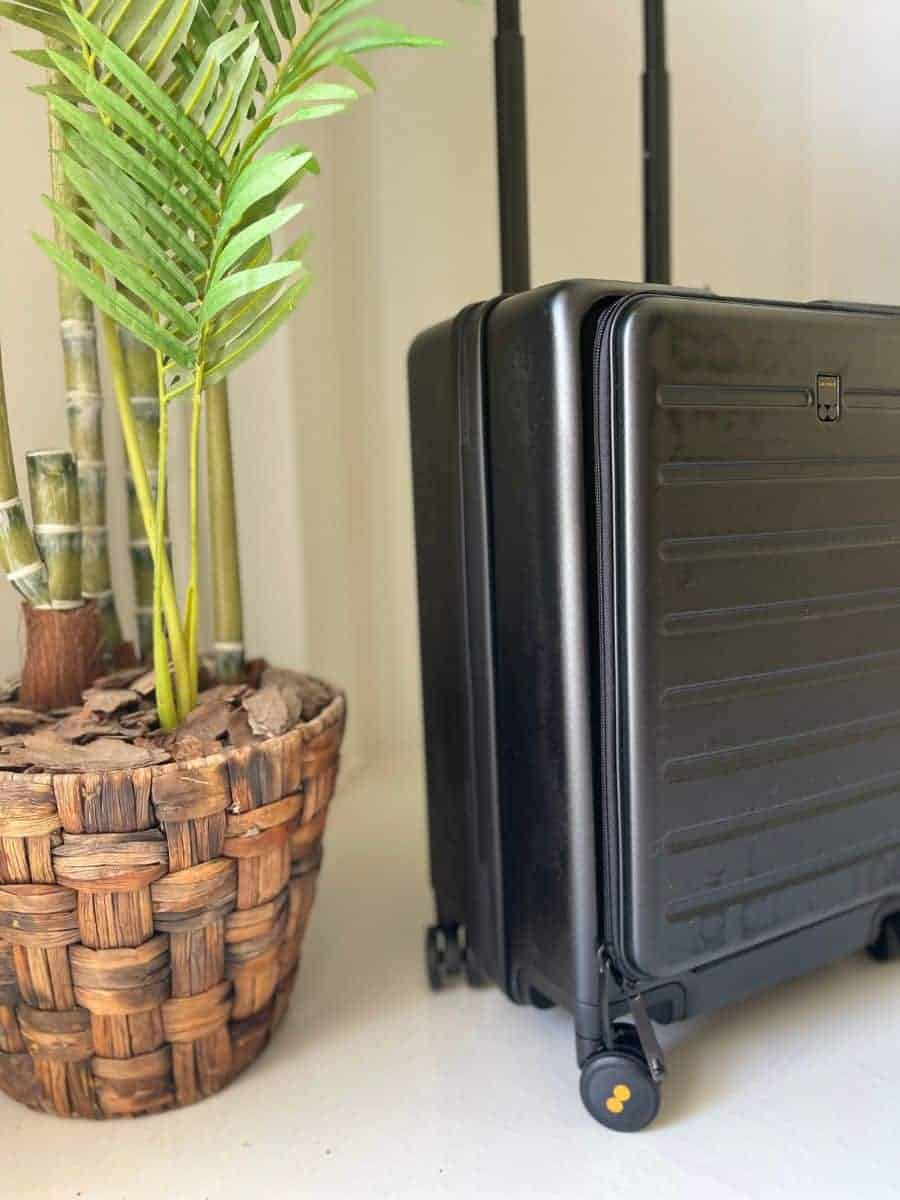 A Level8 brand carry-on suitcase with a dedicated laptop compartment is prominently displayed open, standing beside an indoor potted fern against a softly lit background with a minimalist picture frame on the wall.
