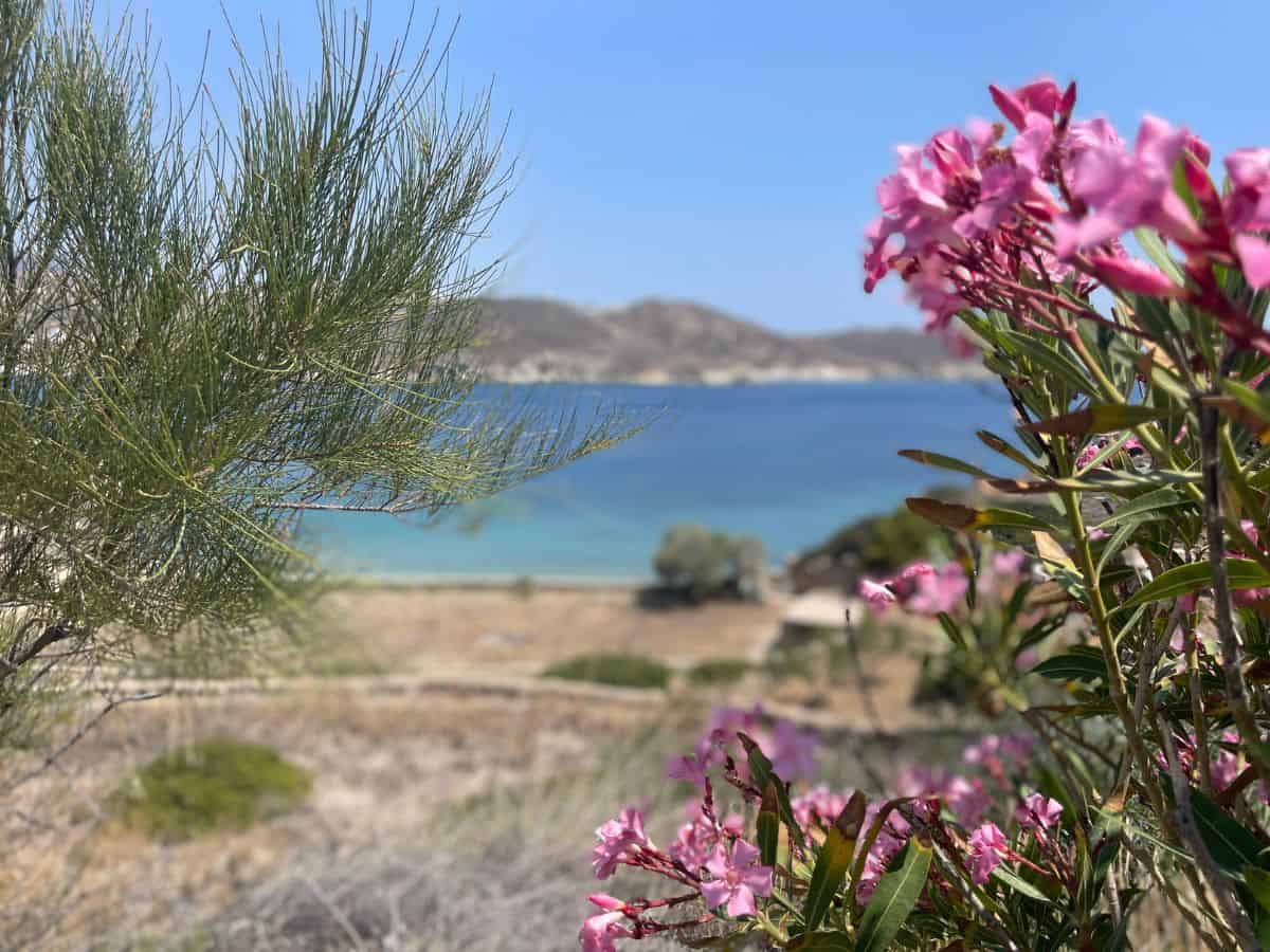 Beautiful landscape of Milos greece