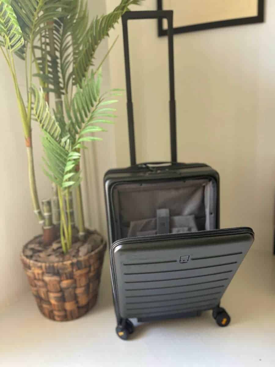 A carry-on luggage with a laptop compartment stands open, showcasing its interior organization pockets, beside a potted palm plant and against a backdrop of a simple frame on a light wall.