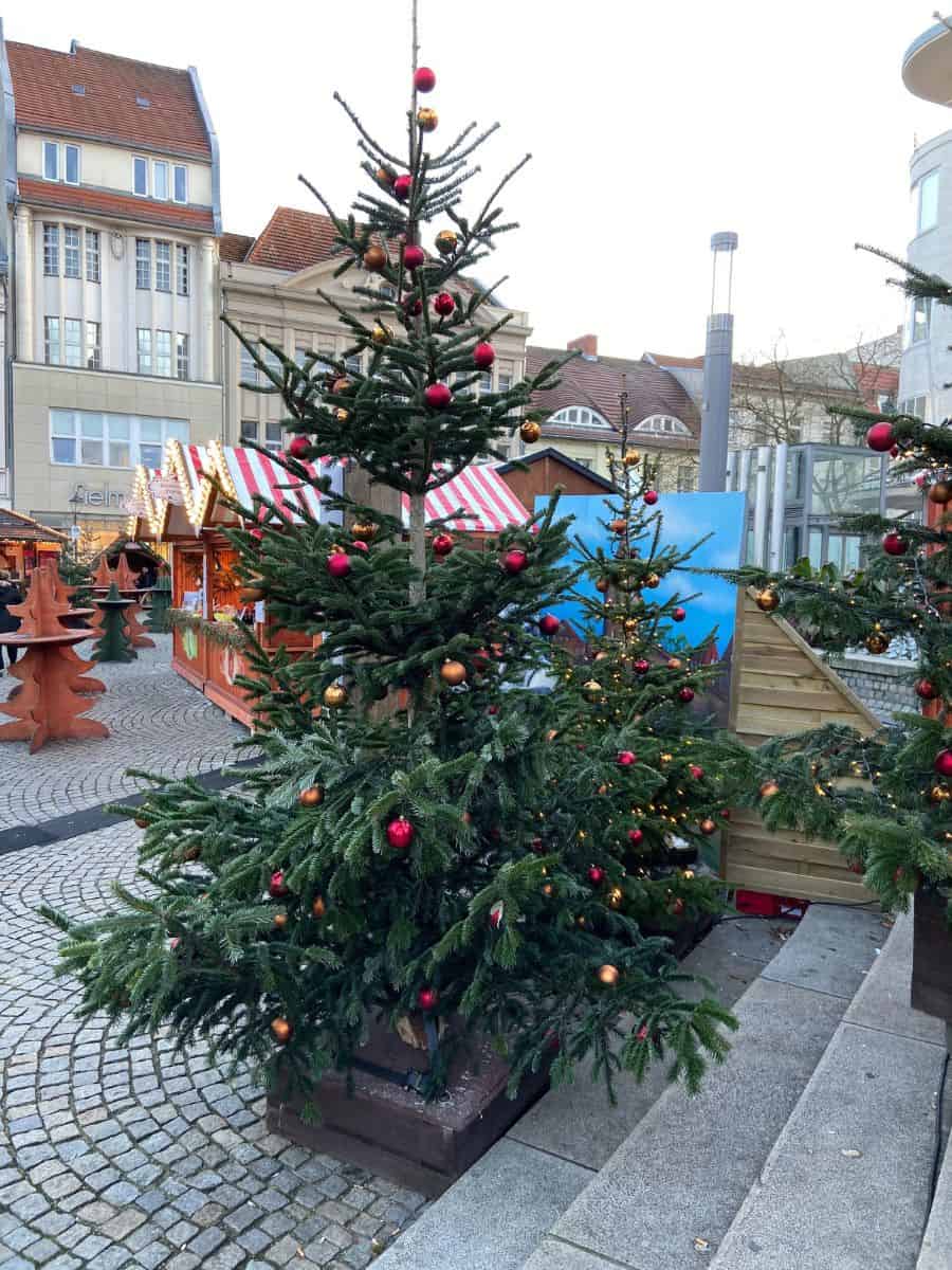 Lush Christmas trees decorated with red and gold baubles add a festive touch to the Berlin Christmas market in Spandau, set against a backdrop of classic German architecture and lively market stalls.