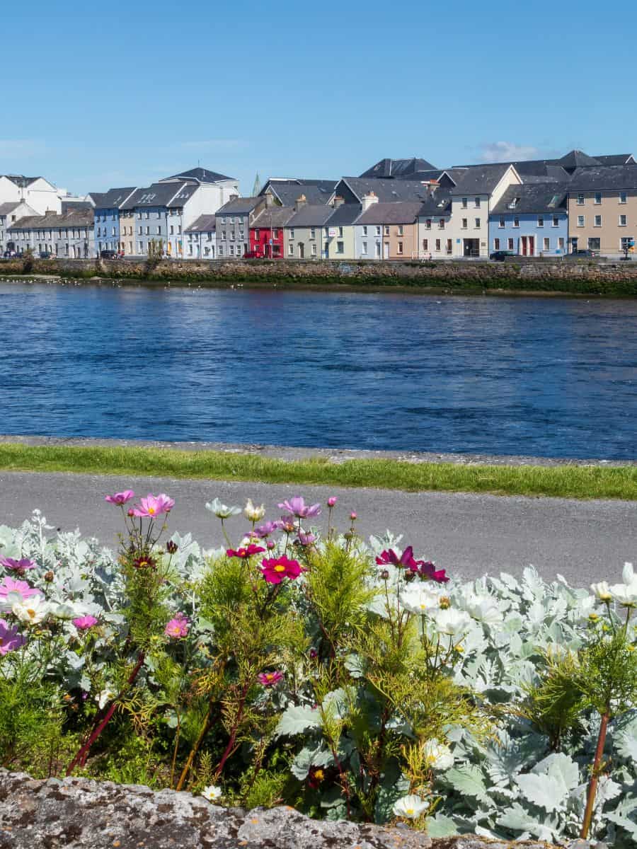 It is worth visiting galway in spring to see these flowers that run along the river lined with colorful houses