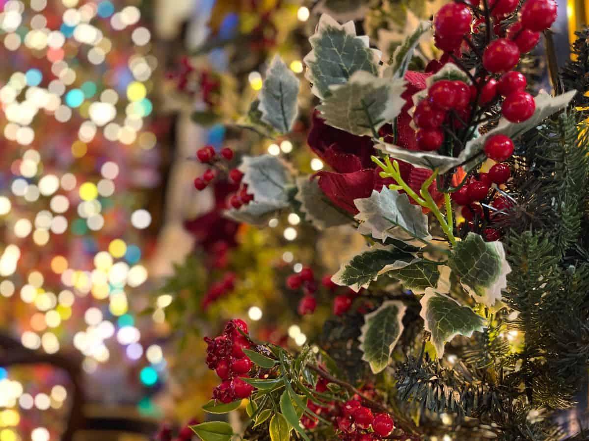 a close up of christmas tree in athens with lights and berry