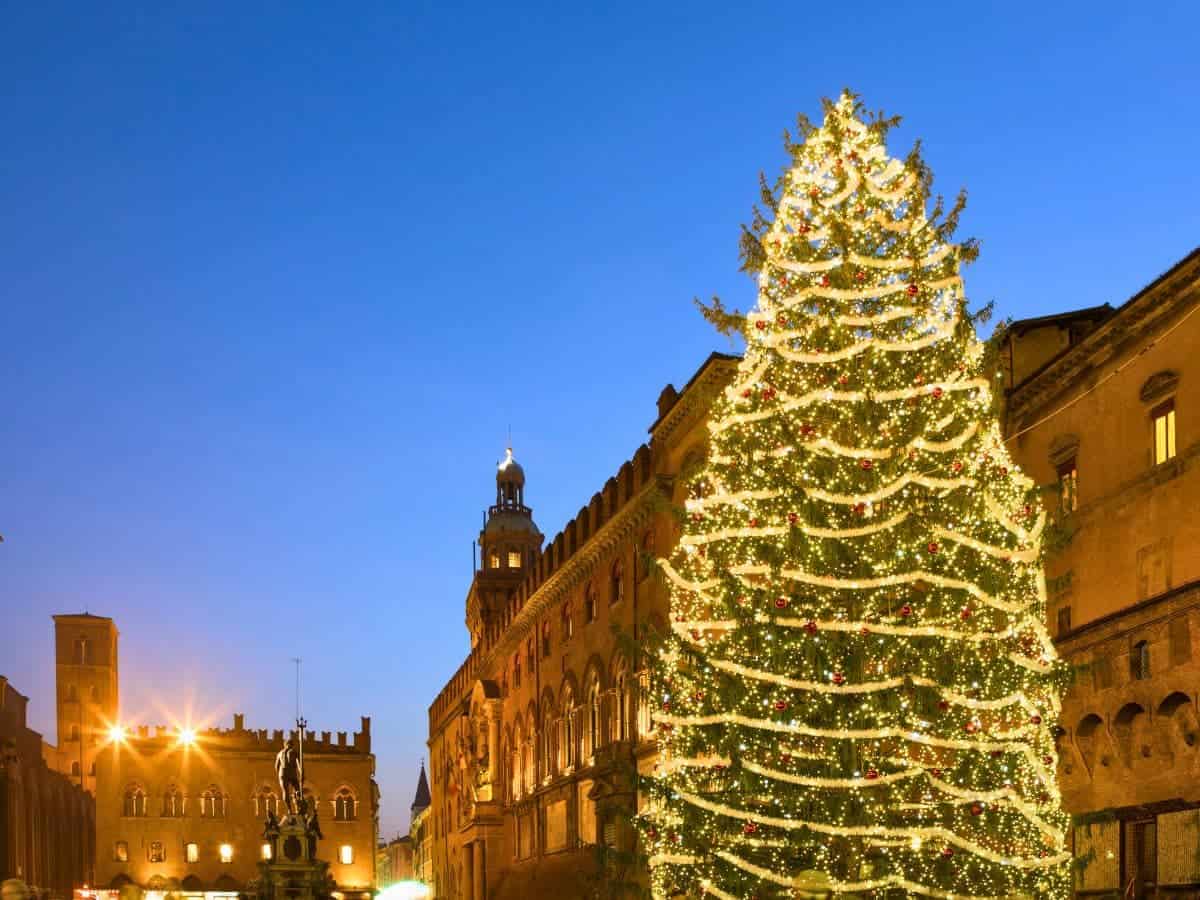 Bologna center square with large christmas tree