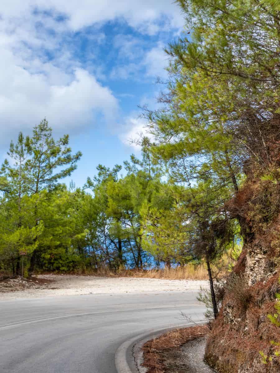 The road in Corfu and bend in the road lined with trees. What you can expect driving when you rent a car in Corfu