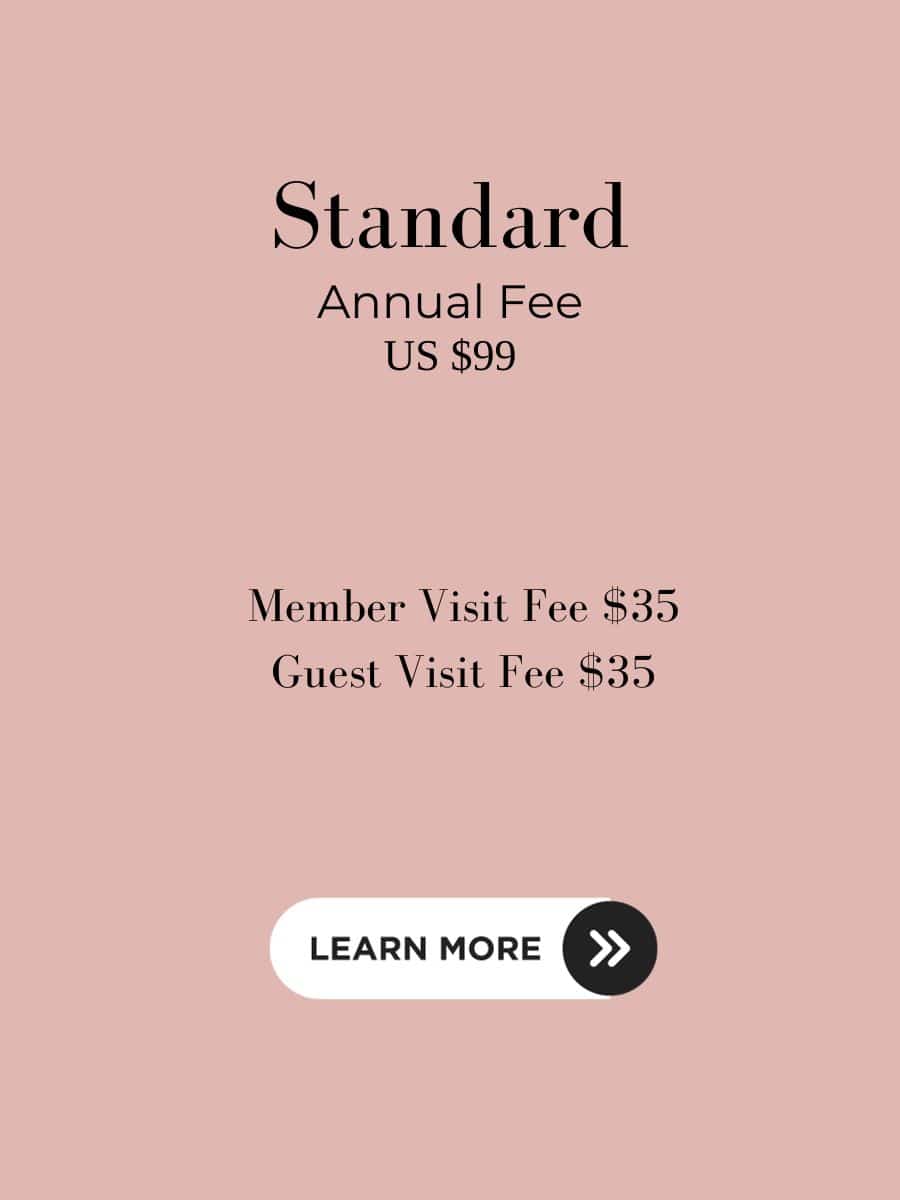 Graphic detailing Priority Pass Standard plan costs, with an annual fee of US $99 and both member and guest visit fees set at $35, against a soft pink background with a 'Learn More' call-to-action button, highlighting the considerations for the value of Priority Pass.