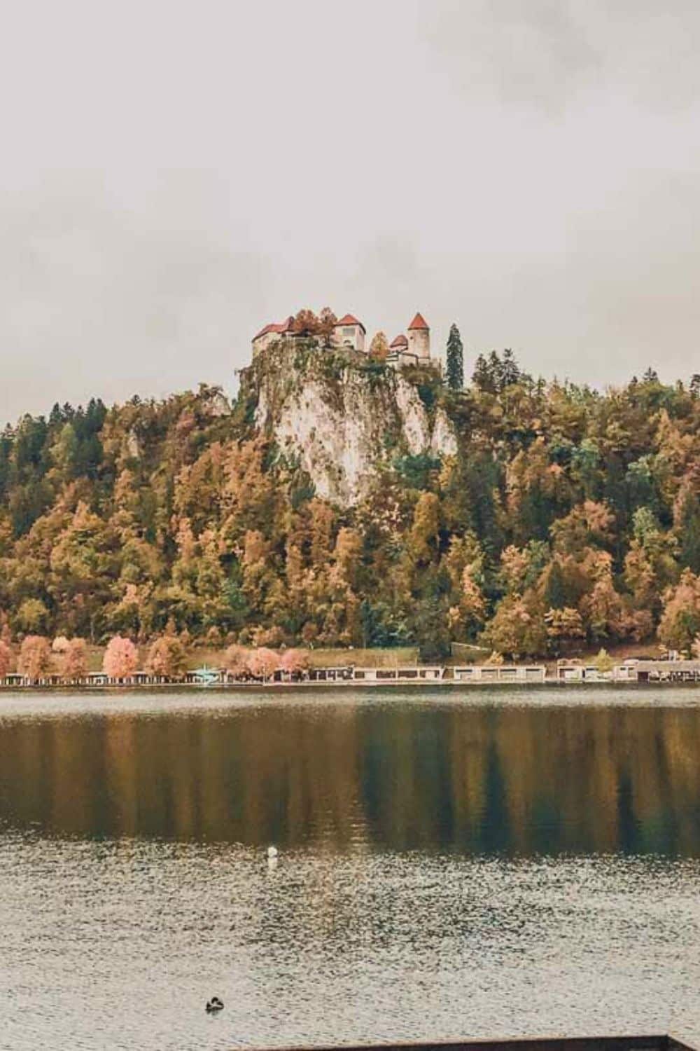 Winter view of the medieval Bled Castle perched atop a steep cliff overlooking the calm waters of Lake Bled, a popular winter destination for history enthusiasts.