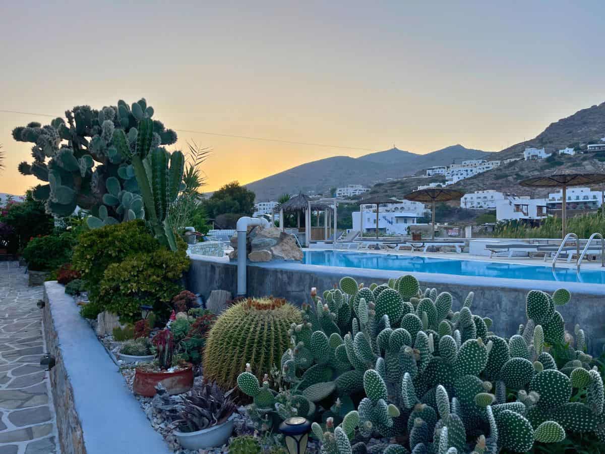 A close up of catus and a swimming pool with sun rising over the mountain.