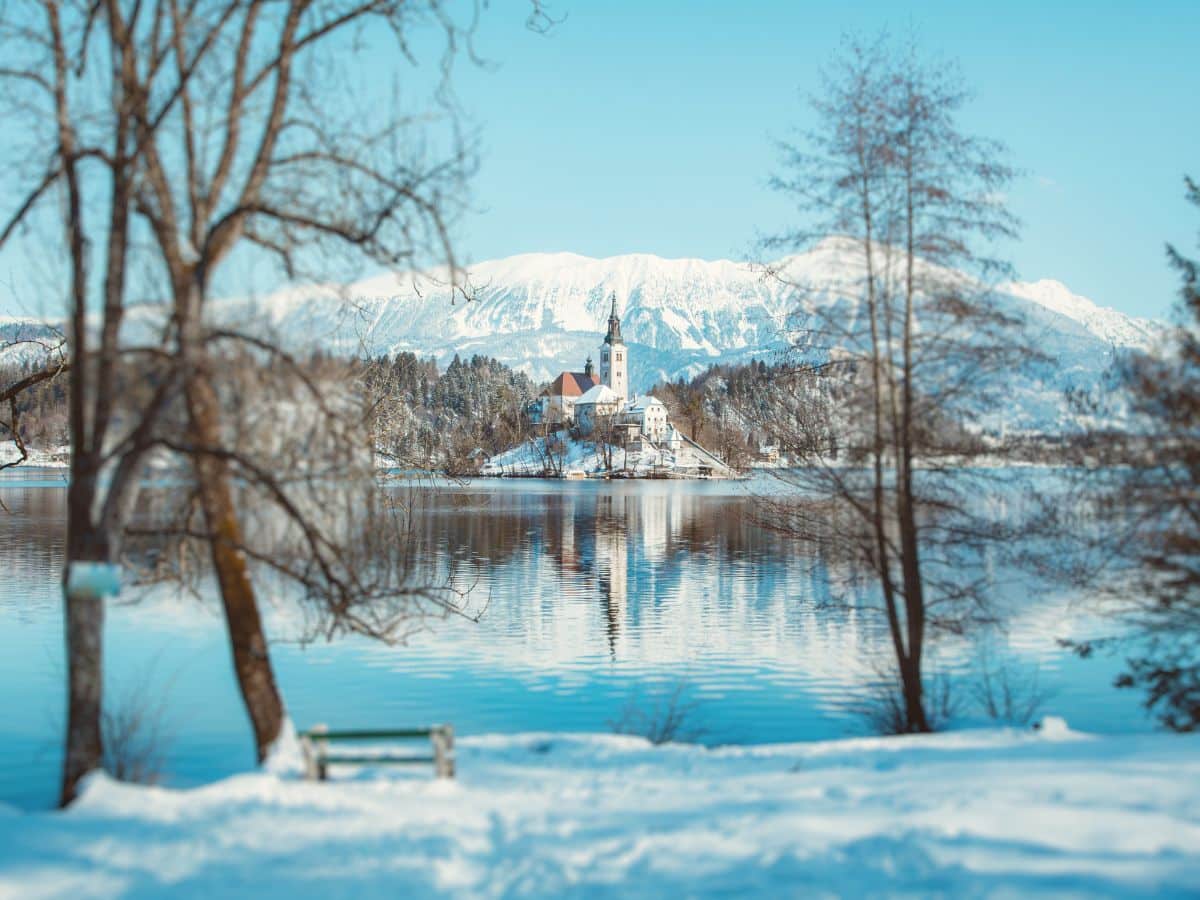 A serene winter scene at Lake Bled, with a view of the snow-covered church on Bled Island against the backdrop of the Julian Alps, framed by bare trees and a bench in the foreground.