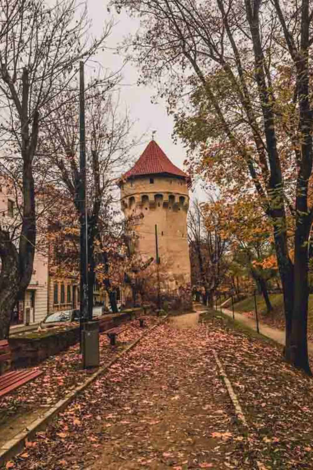 A tranquil autumn scene showing a cobblestone path strewn with fallen leaves leading to a historic stone tower with a pointed red roof, nestled among bare trees.