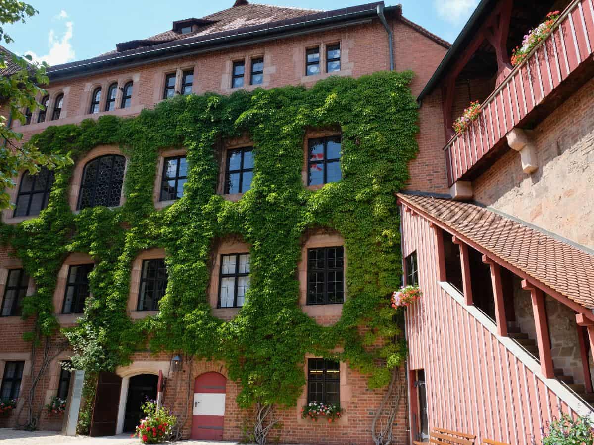 An enchanting ivy-covered building at the imperial palace, with a facade that blends historical charm and nature's touch. The lush green vines contrast with the red flowers on the balcony and the warm brickwork, embodying a storybook setting. The structure exudes a sense of history and harmony with its surroundings.