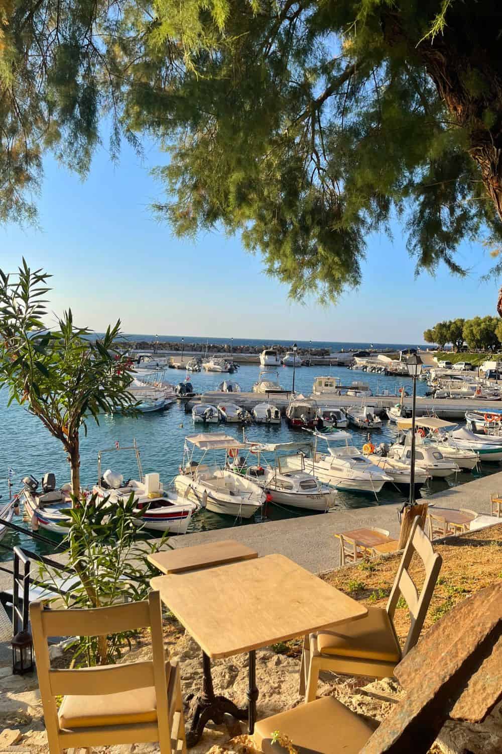 Calm afternoon at a Chania café overlooking the marina filled with boats, with the lush greenery of a tree framing the top corner.