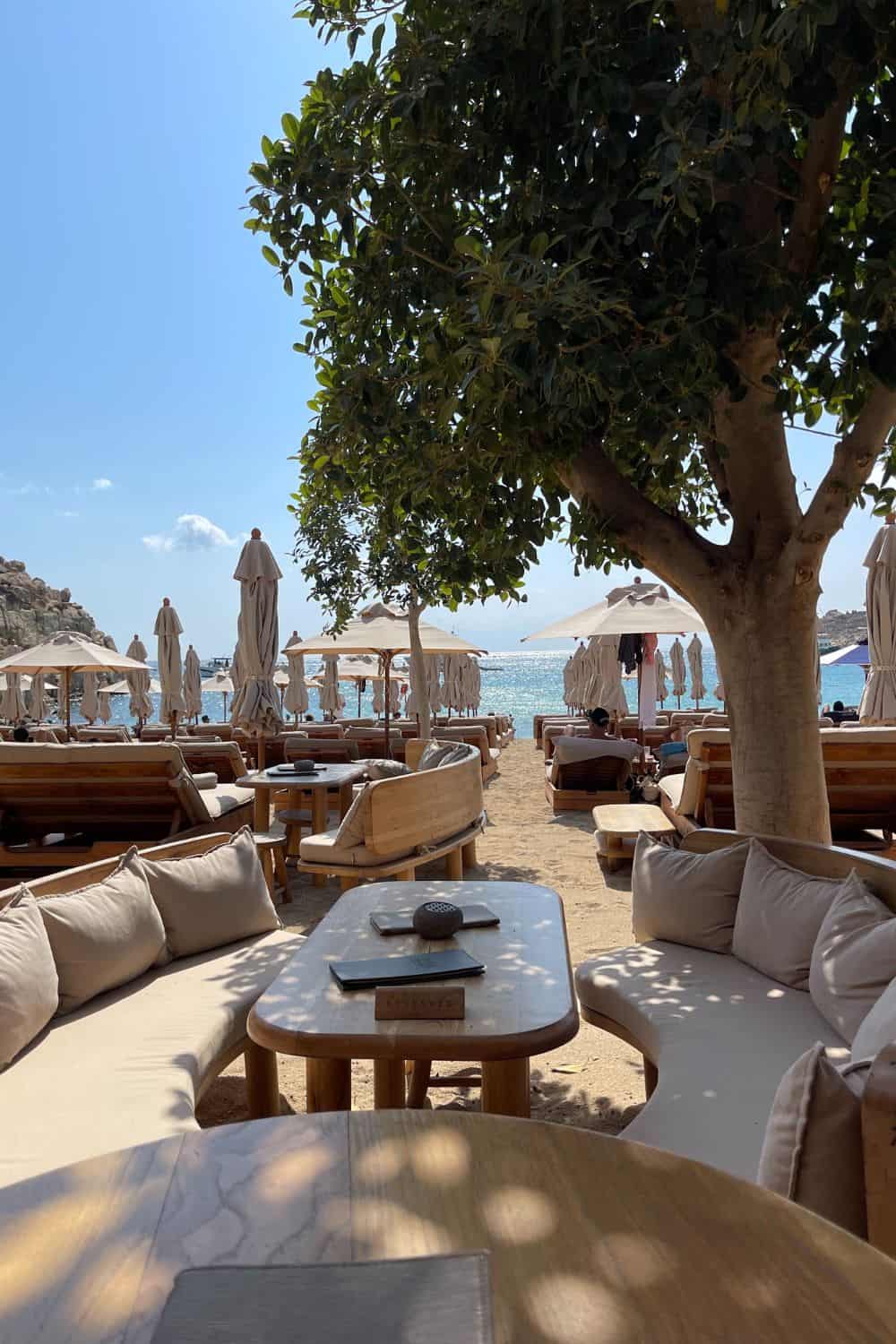 A stylish beach lounge area shaded by a large tree and equipped with comfortable seating and beige umbrellas. The setup overlooks a serene beach and clear waters, inviting relaxation in a picturesque Mediterranean setting.
