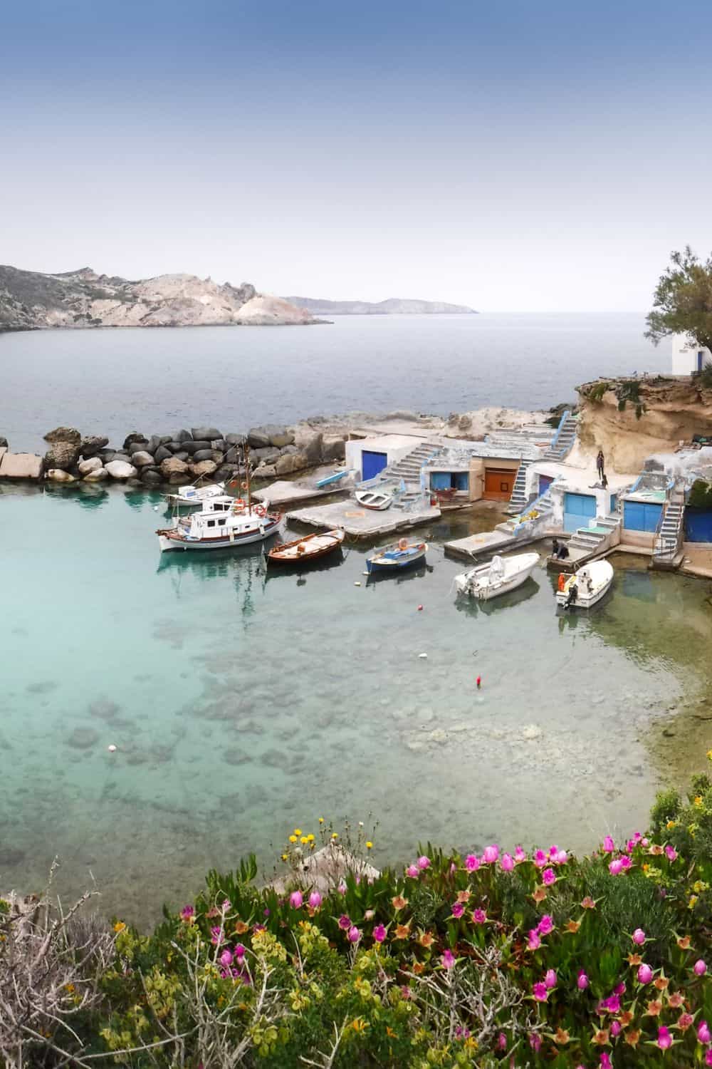 A coastal scene depicting a small harbor with boats docked in clear blue waters. The foreground shows vibrant wildflowers, adding a touch of color to the serene setting.
