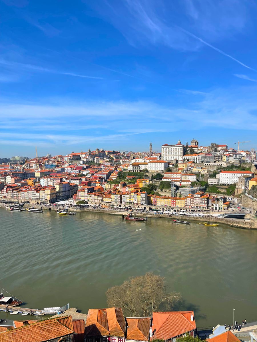 An Easy & Practical 1 Day Porto Itinerary With Tips + Map