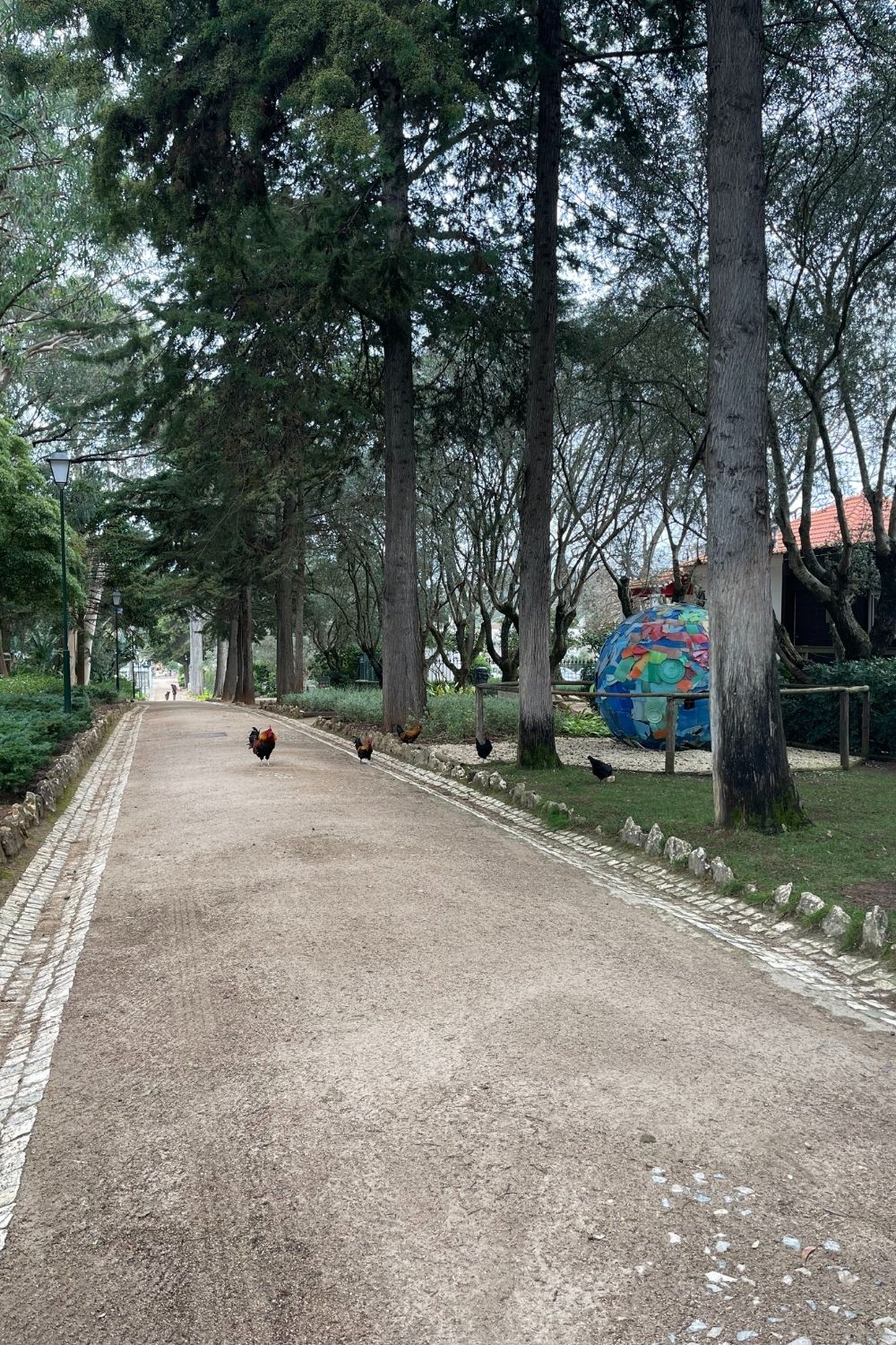 A quaint and quiet cobblestone path meanders through a tranquil park setting, flanked by tall pine trees. A few chickens are seen roaming freely on the path, and there is a colorful globe-shaped sculpture visible in the background on the right, adding an artistic touch to the natural surroundings.