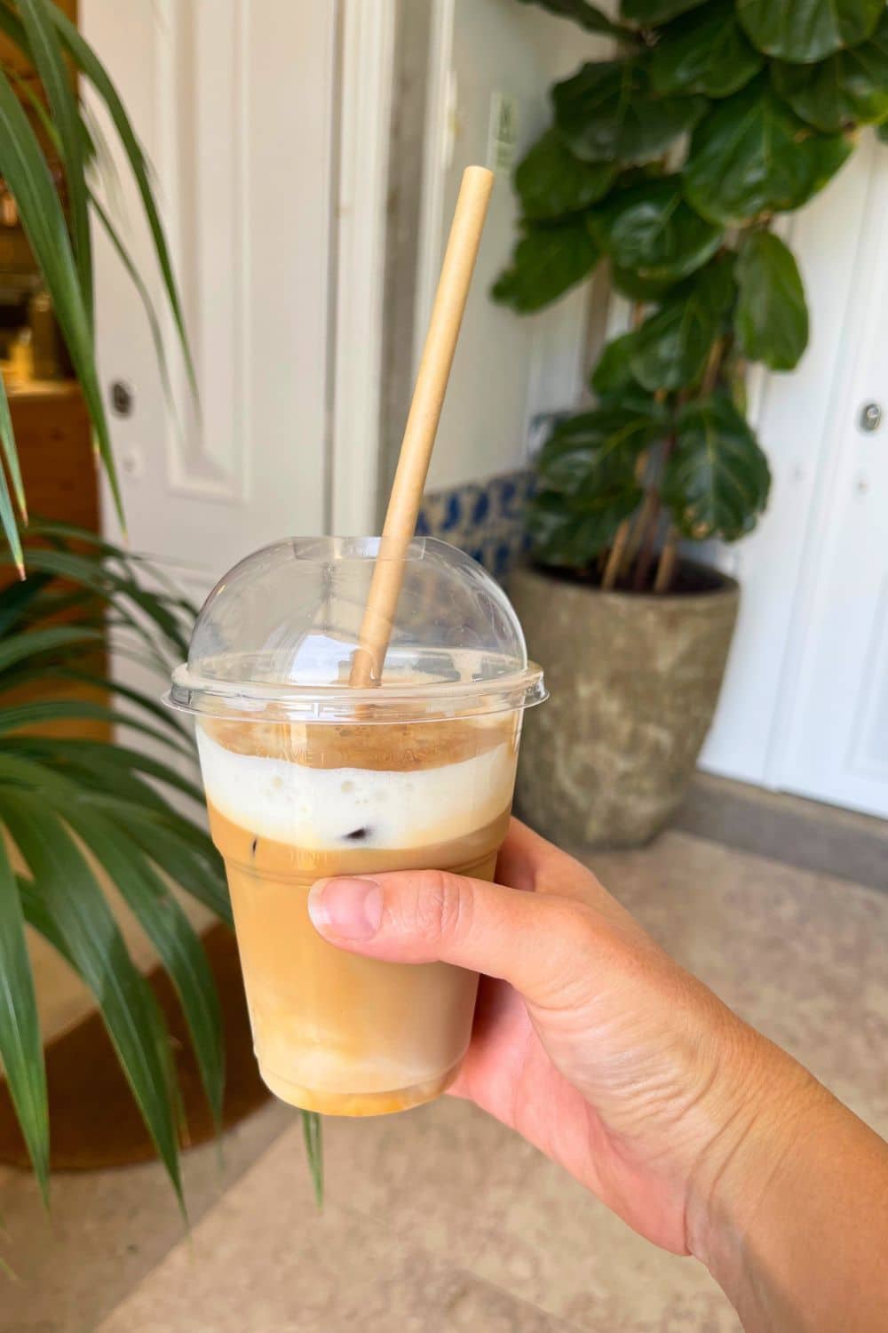 A person's hand holding a Niccolò café iced latte in a clear plastic cup with a paper straw, symbolizing the café's commitment to sustainable practices. The drink is captured against the backdrop of a serene indoor plant and tasteful decor, suggesting a moment of refreshing relaxation.
