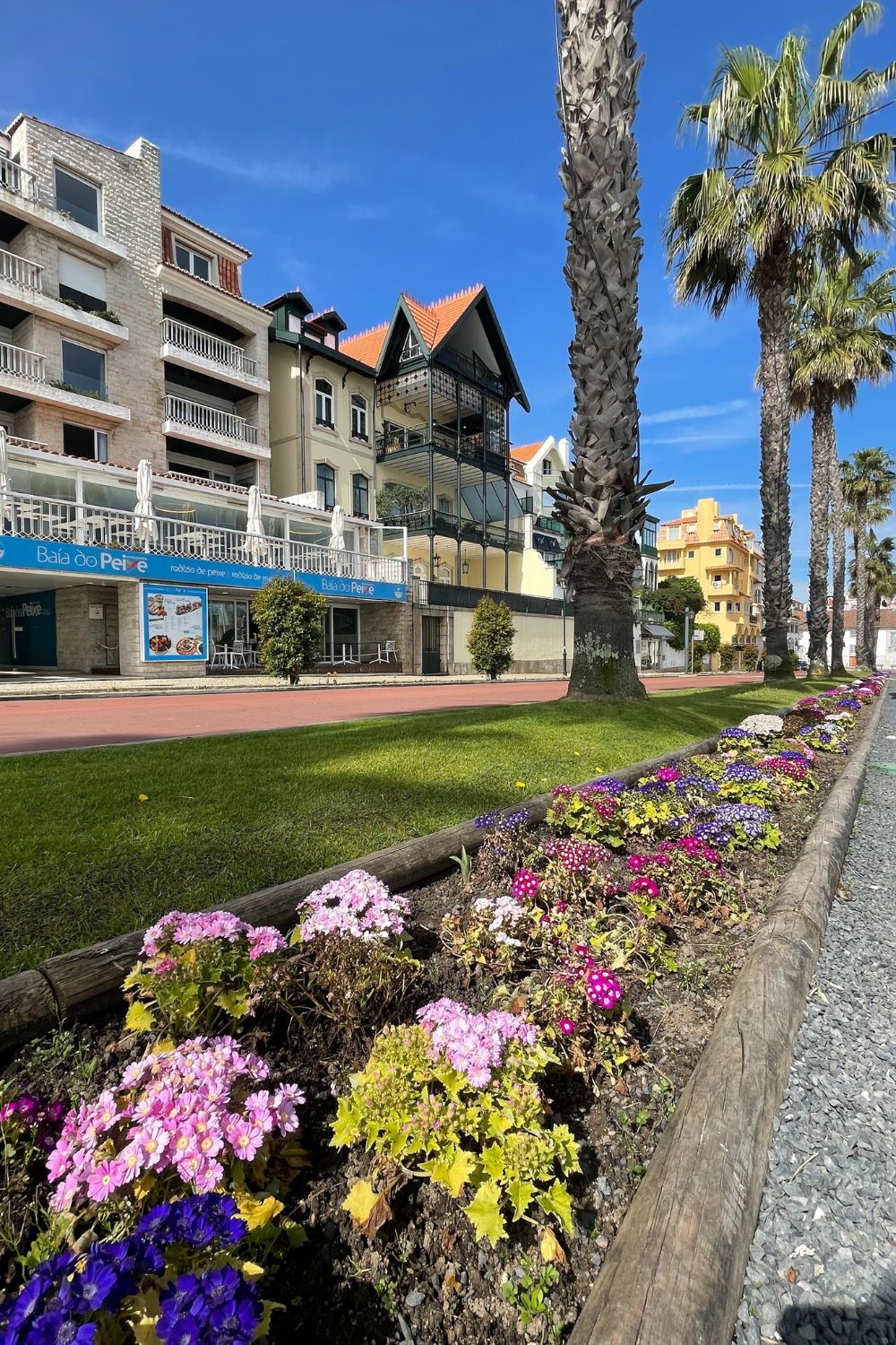 A colorful flowerbed bursting with purple, pink, and yellow blooms borders a well-kept grassy area with palm trees and a variety of charming buildings in the background, showcasing the lively and beautiful landscaping of Cascais.