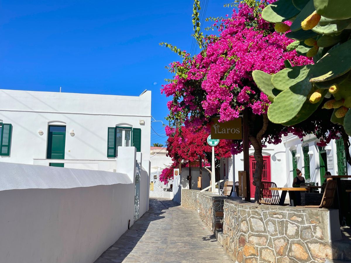 A charming street in Faros with a vibrant bougainvillea tree in full bloom, traditional white houses with green shutters, and a sign indicating 'Faros' against a bright blue sky.