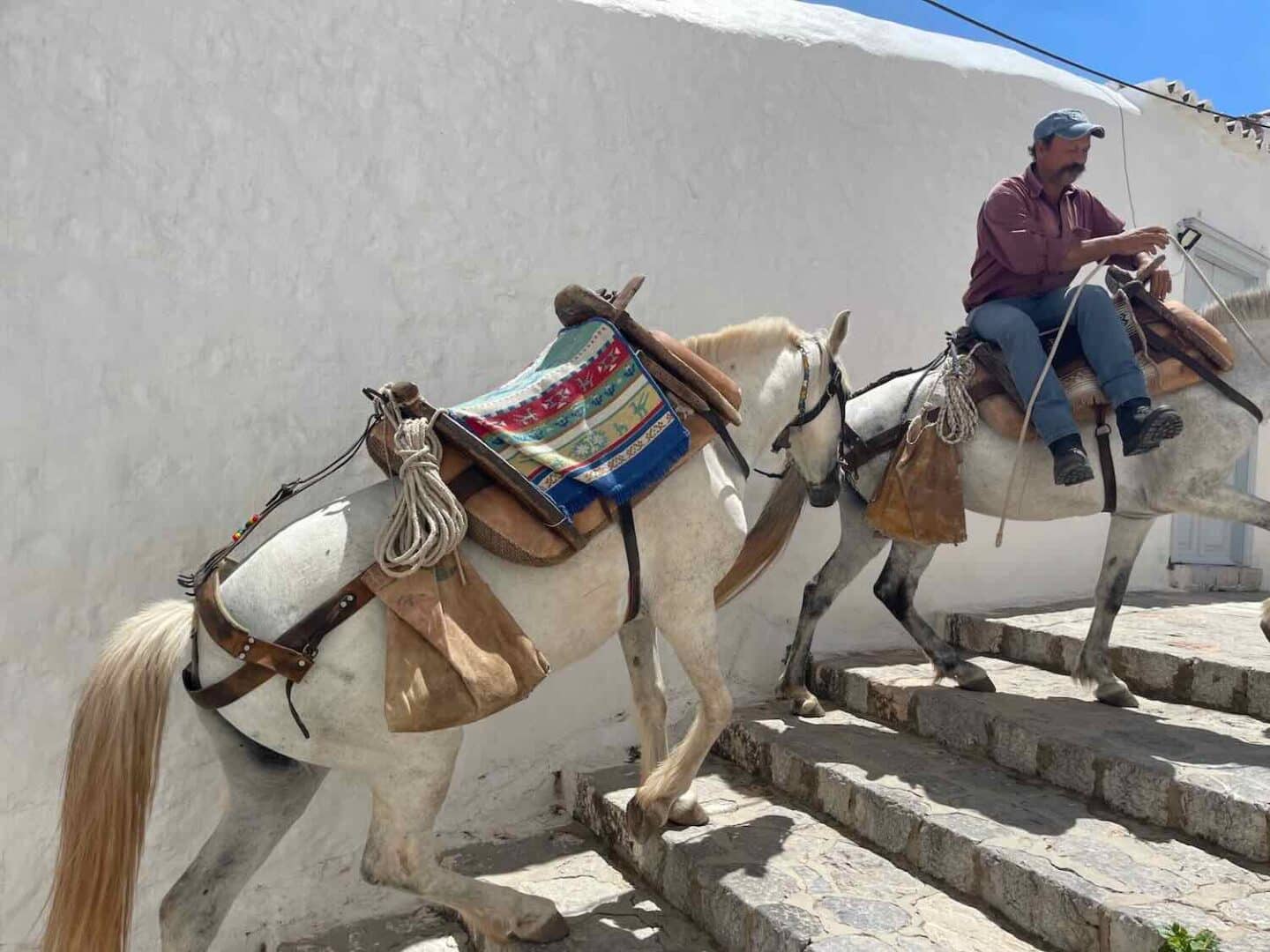 Donkey used as taxi in Hydra.