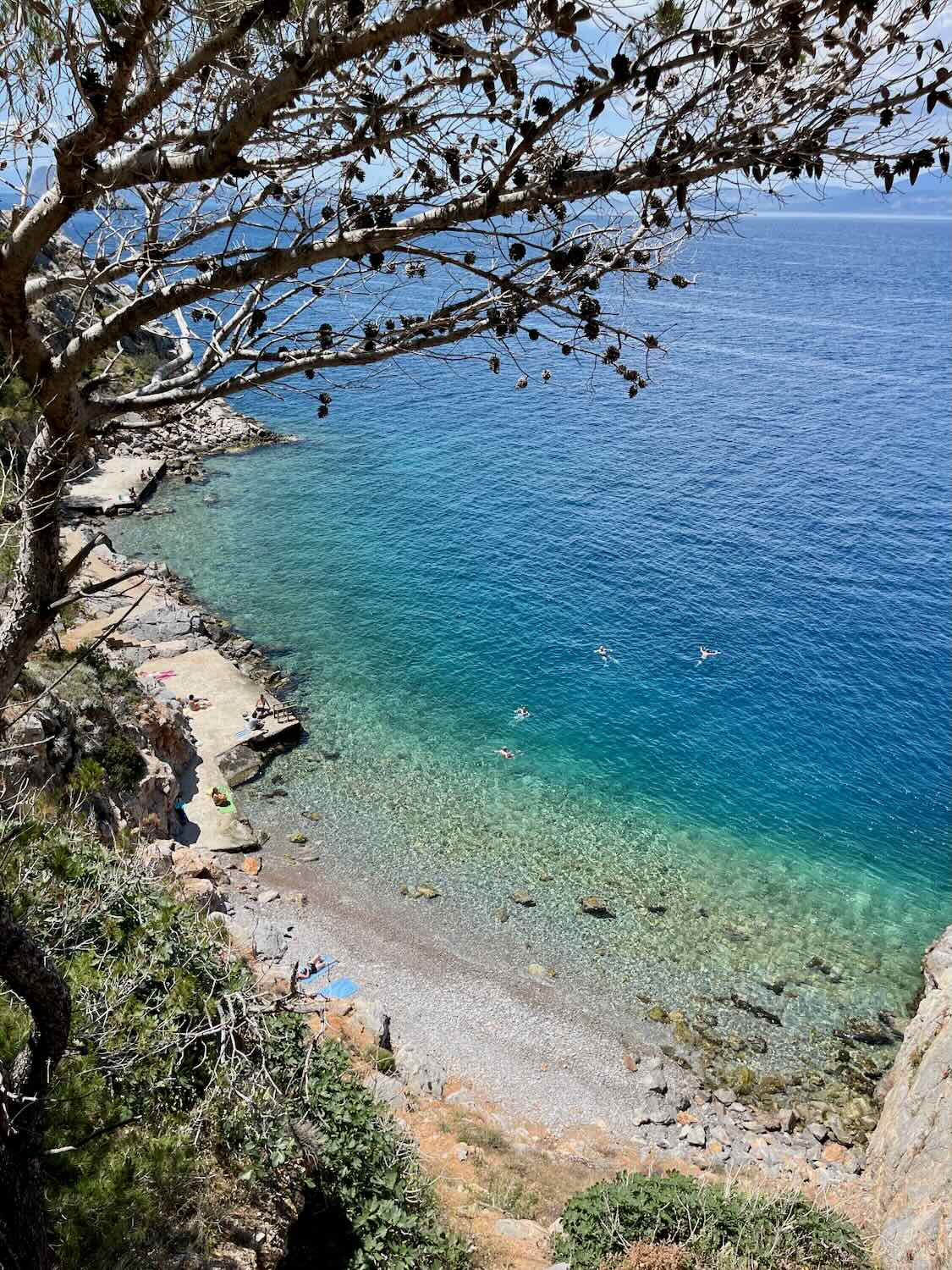 Secluded pebble beach on Hydra with crystalline waters, shaded by a tree, where visitors bask in the Mediterranean sun or swim in the serene sea.