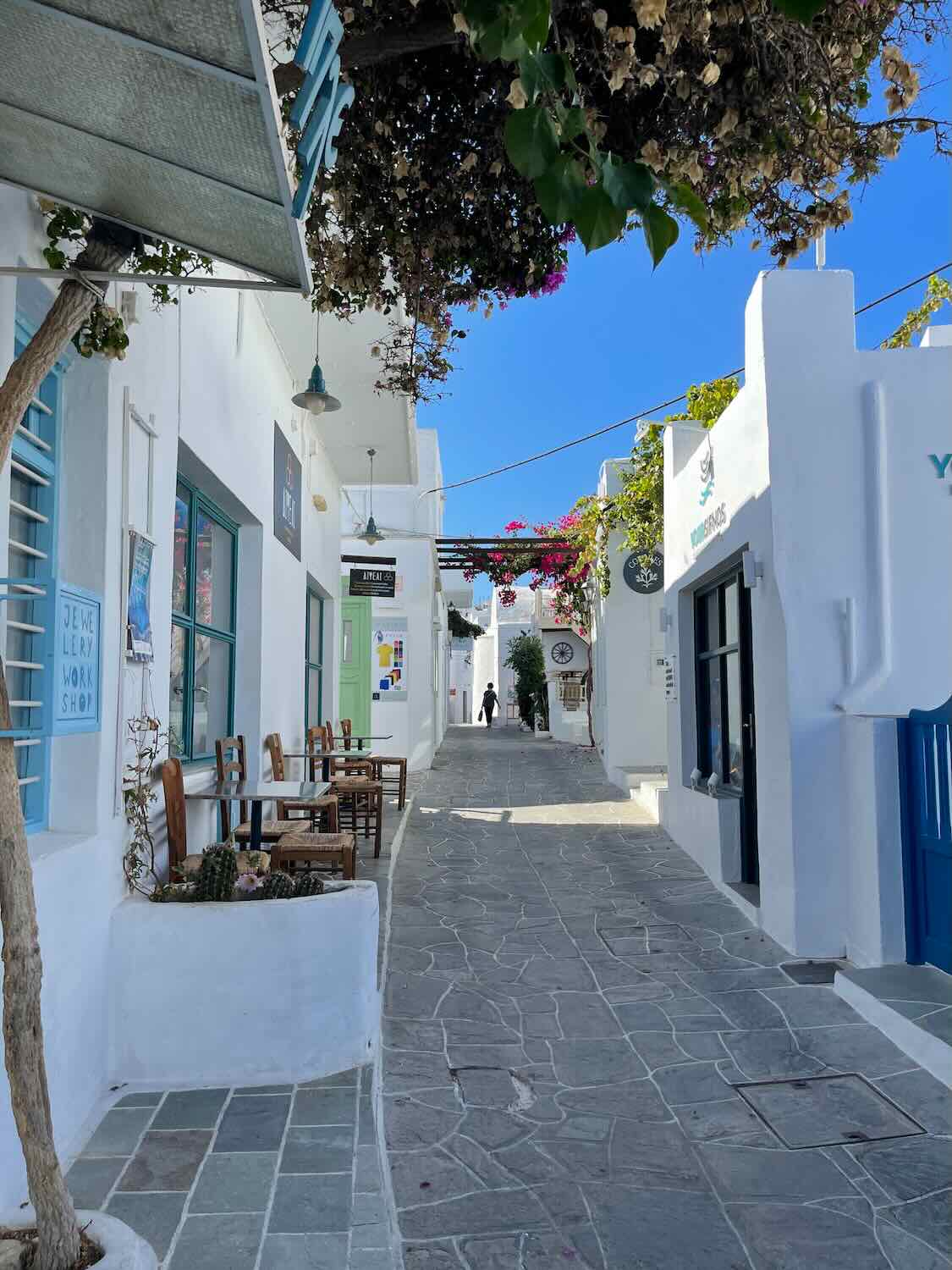 A quaint stone-paved street in Sifnos flanked by white buildings with blue doors and vibrant flowering vines overhead.