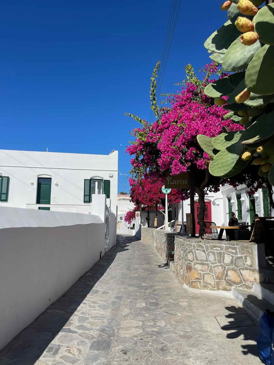 A narrow alley lined with traditional white houses and vibrant pink bougainvillea in Sifnos, showcasing the charm of the island's villages