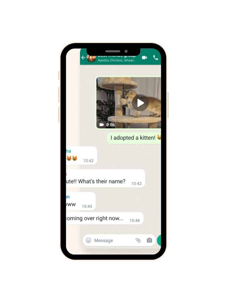Mobile screen capture of a messaging app conversation where a user announces 'I adopted a kitten!' with responses from contacts and a preview of a video clip showing a kitten.