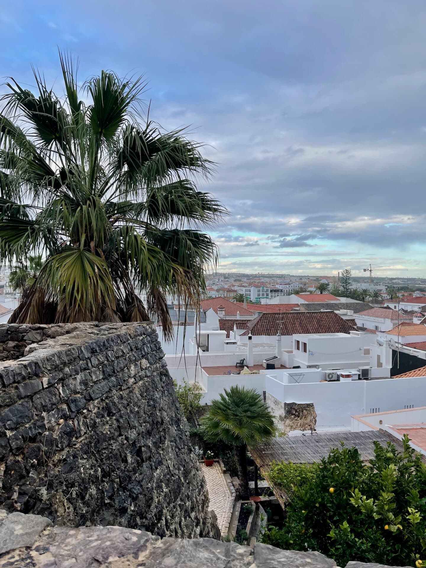 A lush palm tree stands out against the backdrop of a cloudy sky, with a view over the white buildings and terracotta roofs of Tavira, Portugal.
