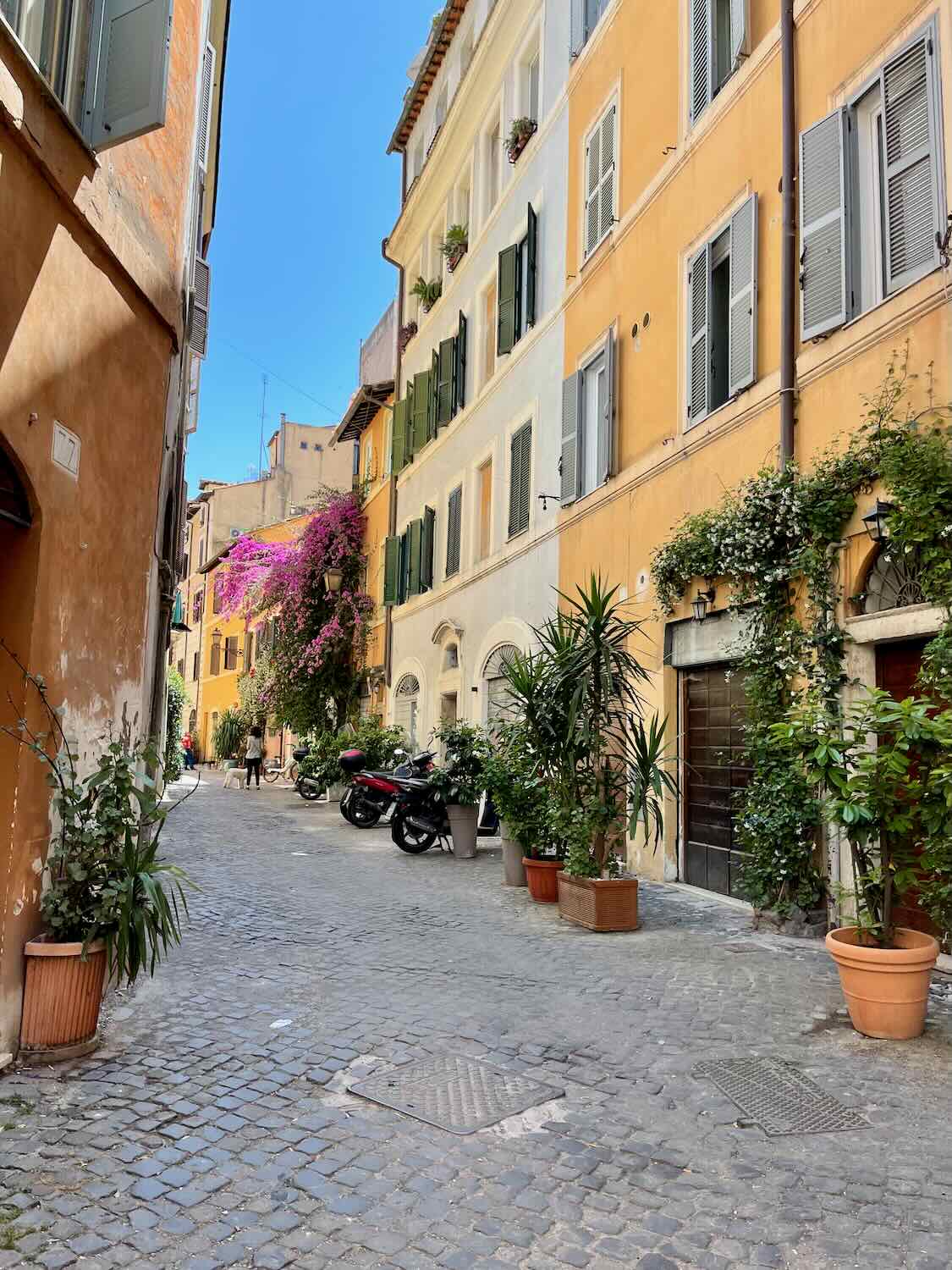 A charming street in Rome lined with colorful buildings featuring shutters and potted plants. The cobblestone street is adorned with lush greenery and blooming flowers, and a few motorcycles are parked along the side.