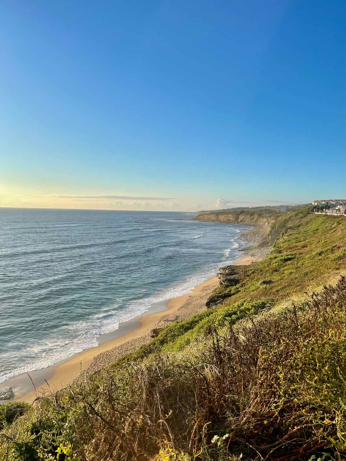 A stunning coastal view featuring a sandy beach meeting the vast ocean. The scene captures the cliffs covered in green vegetation under a clear blue sky.