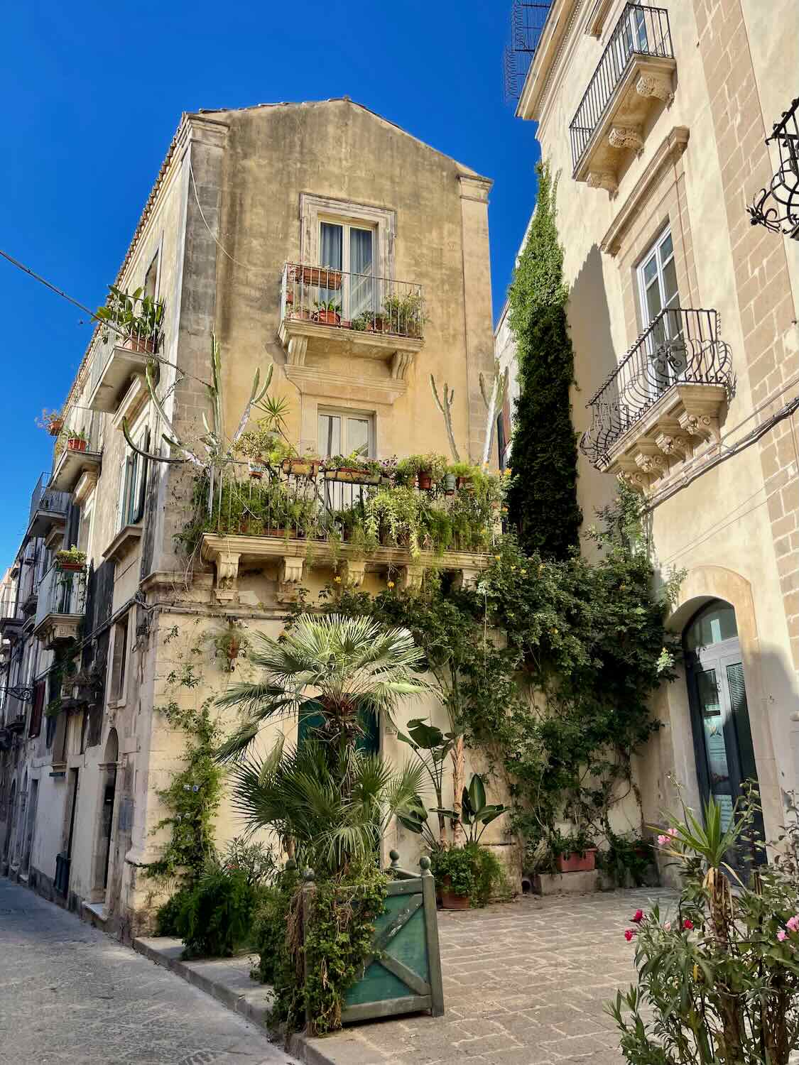 A building covered in greenery in Siracusa 