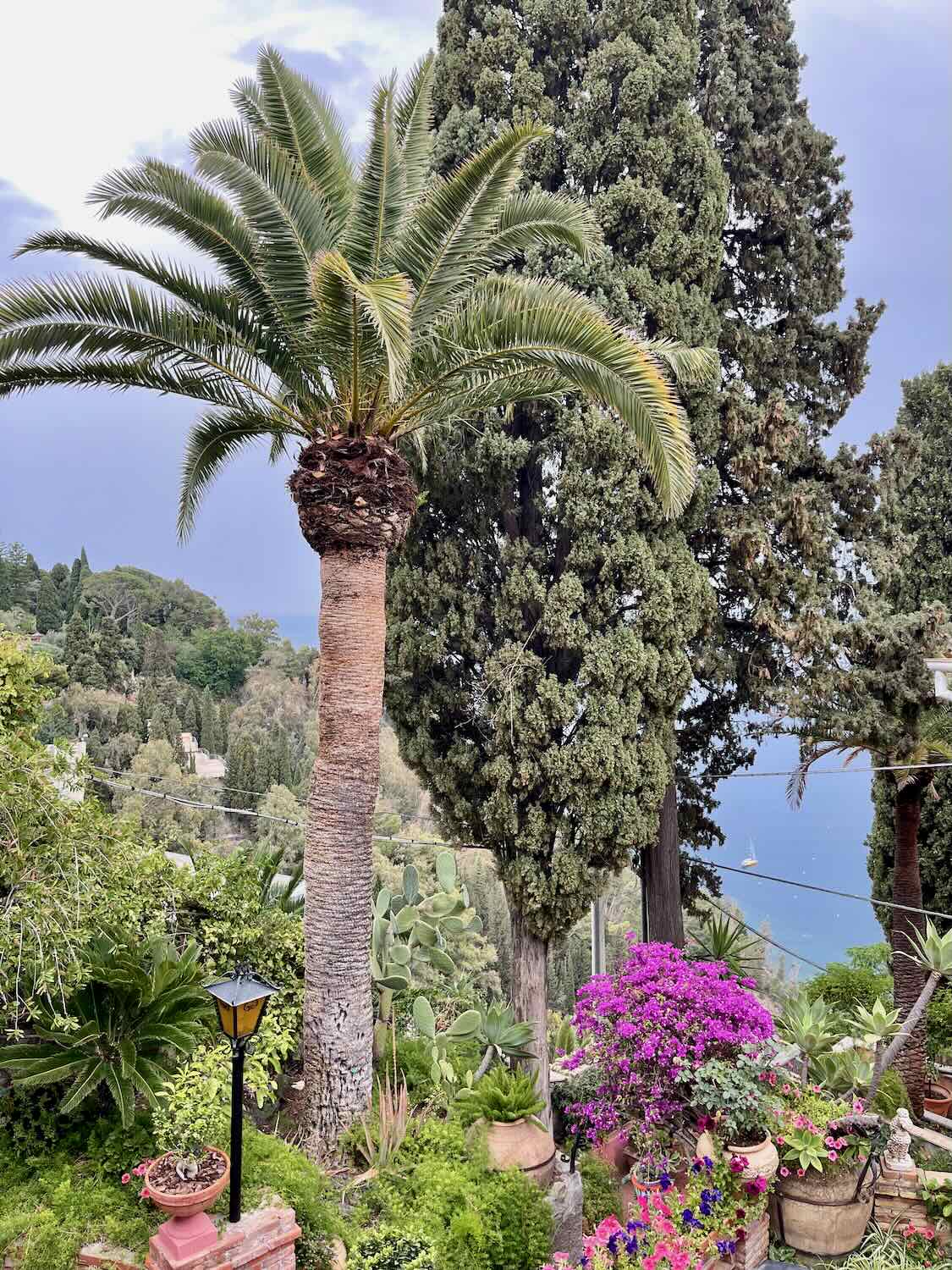 Views of the sea through a beautiful garden in Taormina. 