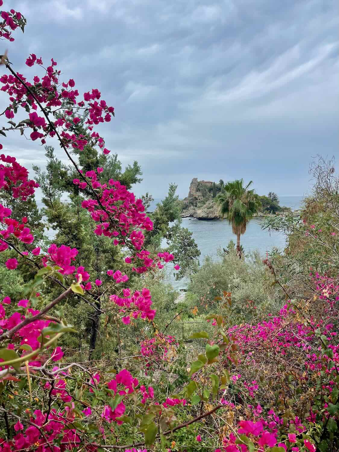 A scenic view of an island off the coast of Taormina, framed by vibrant pink flowers and lush greenery.