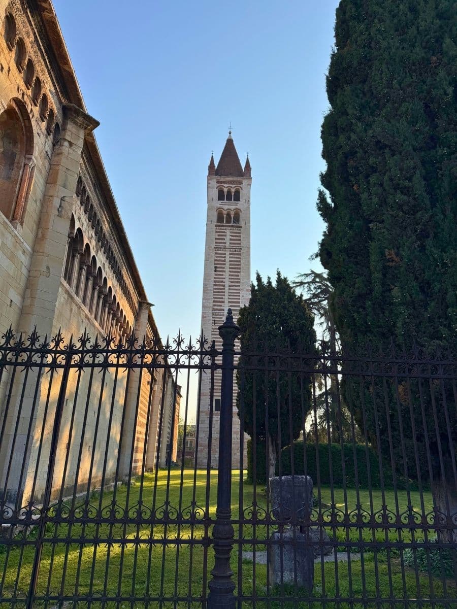 A tall Romanesque bell tower with a pointed roof rises behind an ornate wrought iron fence, flanked by the historic stone walls of a cathedral and tall cypress trees, under a clear blue sky in Verona, Italy.