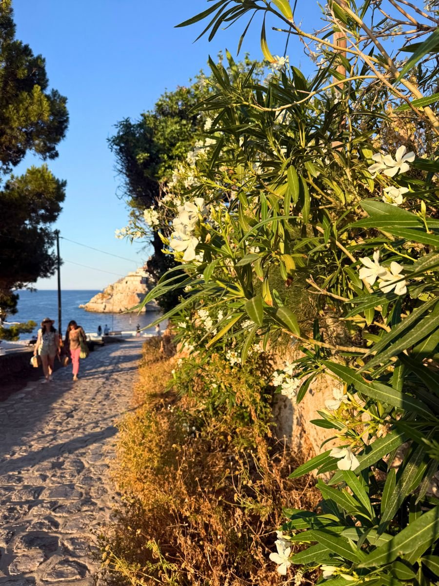 Sunlit coastal path on Hydra Island lined with white flowering shrubs, leading down to the sea with two women walking along the stone walkway.