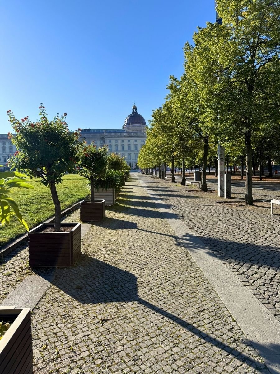 Cobblestone walkway with evenly spaced trees and planters, leading to the dome of the Humboldt Forum in Berlin under a clear blue sky.