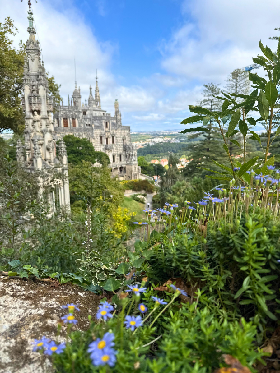 Scenic view from a garden overlook in Sintra, with bright blue wildflowers in the foreground and the ornate, spire-topped architecture of Quinta da Regaleira in the background.