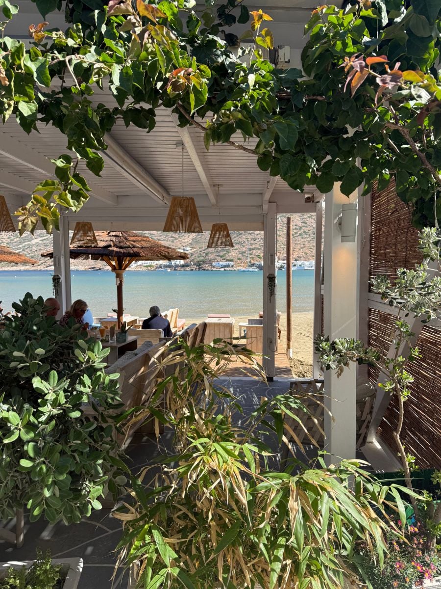 Seaside restaurant in Sifnos shaded by vines with tables overlooking the water.