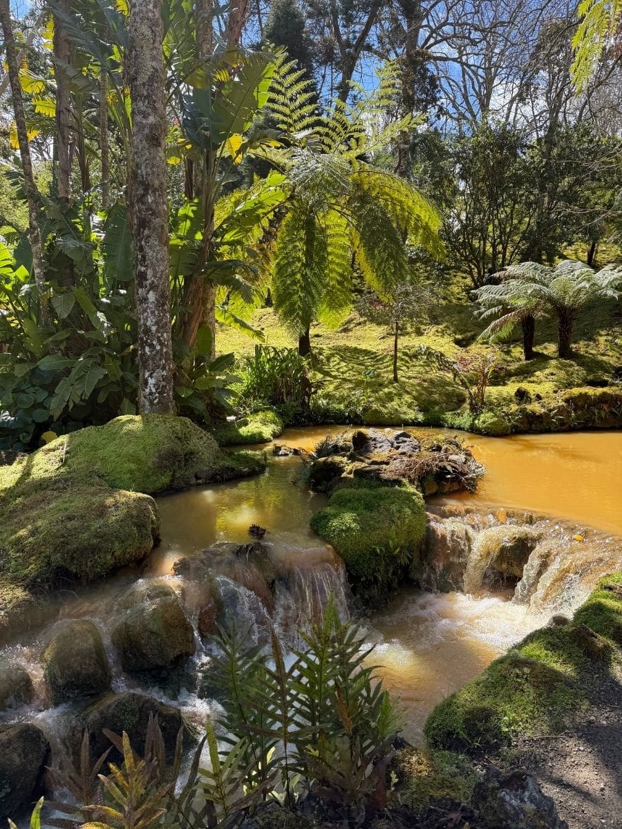 Tropical garden landscape in S&atilde;o Miguel, Azores