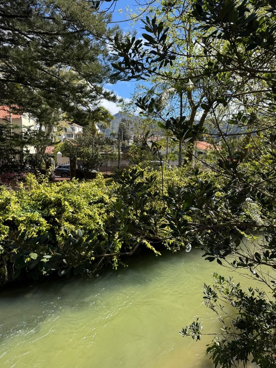 Calm river bordered by dense vegetation and houses in Furnas, S&atilde;o Miguel, Azores with soft green water flowing under leafy branches