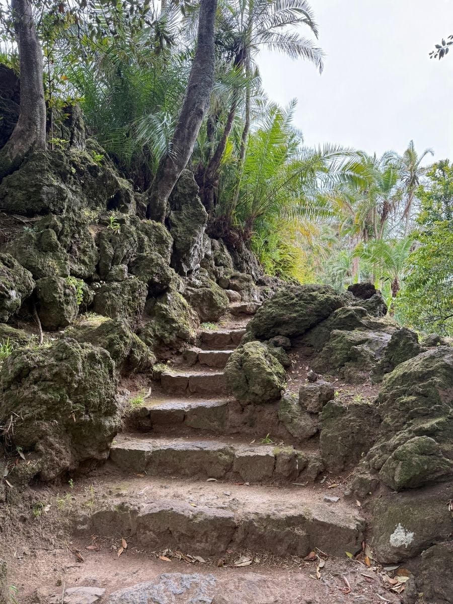 Stone steps pathway surrounded by volcanic rocks and tropical greenery in S&atilde;o Miguel, Azores