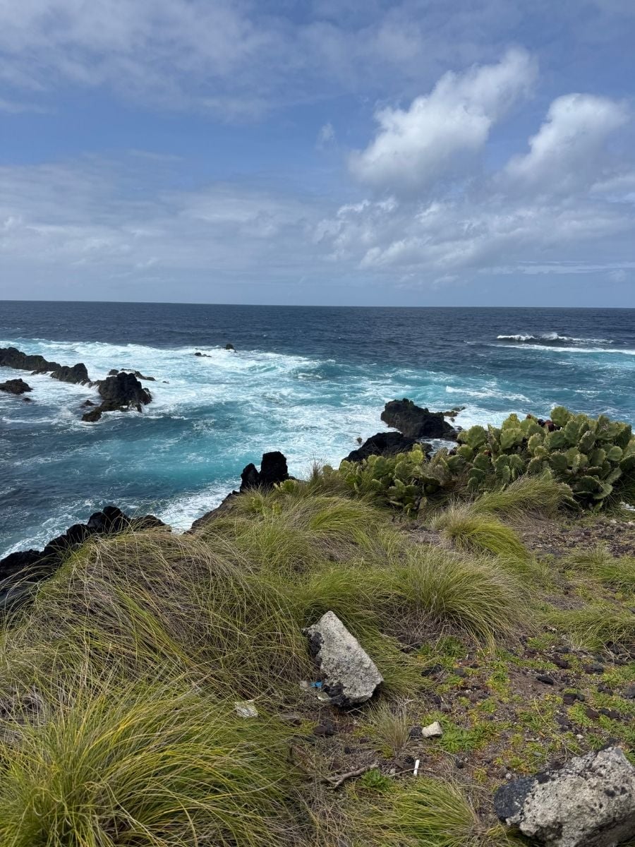 Rocky volcanic coastline in S&atilde;o Miguel, Azores with waves crashing against black lava rocks and coastal plants under a partly cloudy sky
